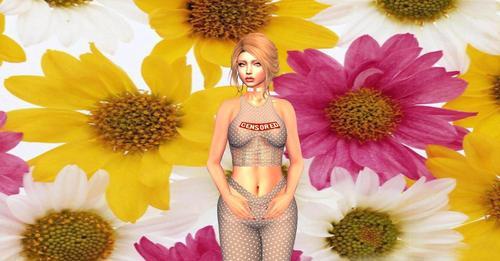 Web 5fb9ede7bb3b4c1aeb20008b