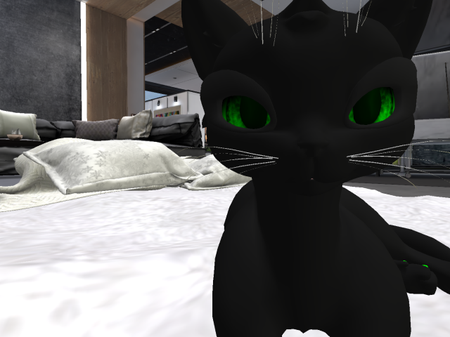 Original 60a54d98e1ee41647293c6f3