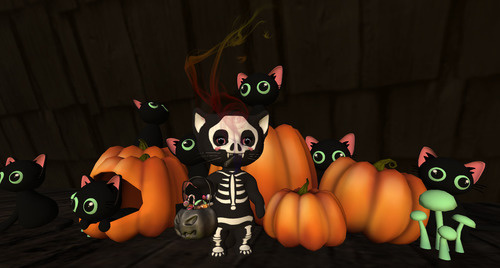 Web 635d599b3bd67d3e4863bf06