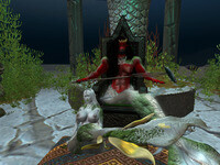 Small 64c592a35641224111116f20