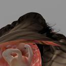 Thumb 620009bfd9b3710f2c39dc9d