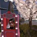 Thumb 6201f61e5210001d7b5239f7