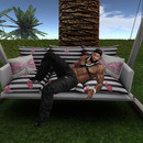 Thumb 63e122364450434e5c975d94