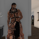 Thumb 63f1dd34aed2ea5a3dd53dd2