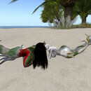 Thumb 65430c29ddef4c4a154b7d39