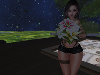 Small 646f5450f3b6681ffe950345