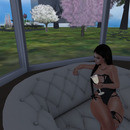 Thumb 6468c673ed05c439292d26bb