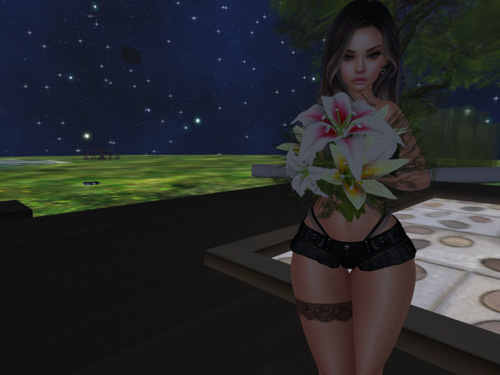 Web 646f5450f3b6681ffe950345