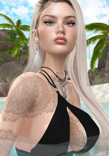 Web 66609981366b465b671d3f1b