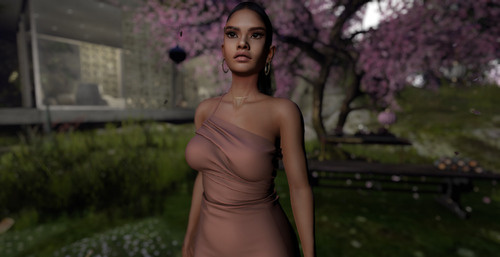 Web 64cd2ed7bf47592e3c79ec33