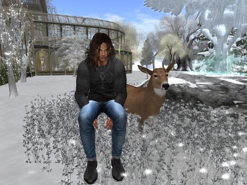 Web 5fb6e3d706007268290a88ed