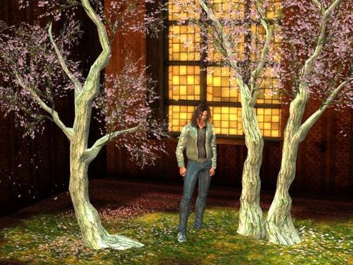 Web 5ff22ed43a18b0578c0e11a3