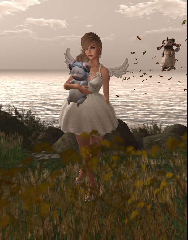 Original 54fc83d0128cc95917000001