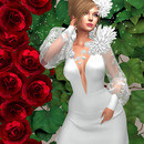 Thumb 6409f132a69bad637d902c1d