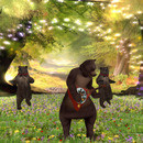 Thumb 640a185d89c981723db462dc