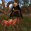 Thumb 604be5452e1a8a587cde7604