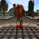 Thumb 65cb4fa3ad52d9763eaf2f30