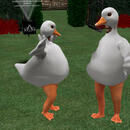 Thumb 670ee90c3782764f7a6ec5b2