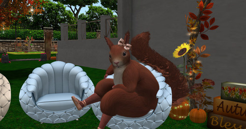 Web 67142764c892c81a3e846f77