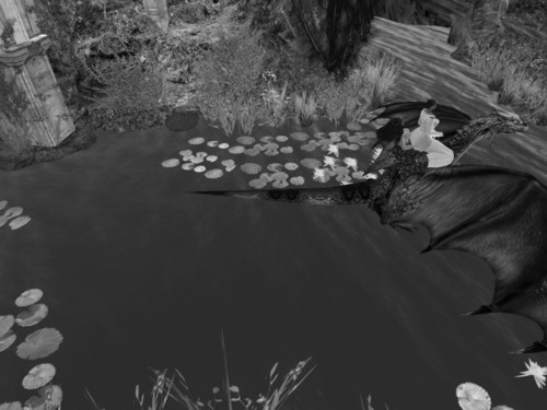 Web 6723e3545e59114190e75162