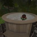 Thumb 62da4dd880399e425a401185