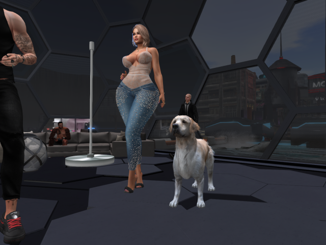 Original 623cae2fdcdb5b3db26e7c9c