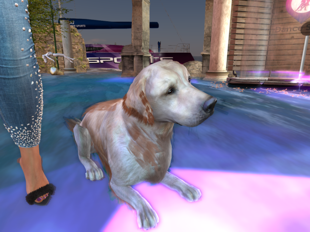 Original 623cdd63c13481020278f302