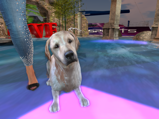 Original 623cdd85d4afc33fde4a46f3