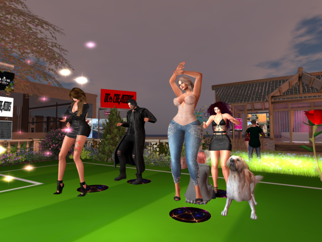 Original 623d0dcbe8a5f17c40c1669f