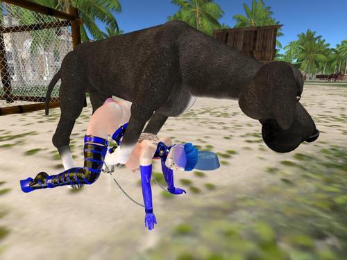 Web 5f0ed7a7d9859c2b52c29abb