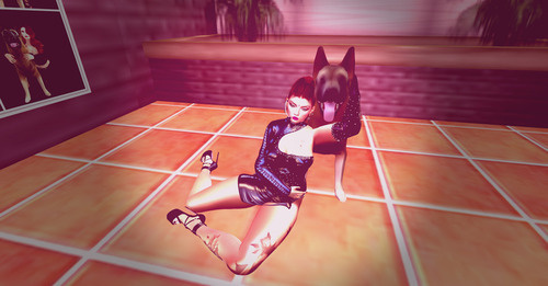 Web 657f65600ebfe52fddab7fae