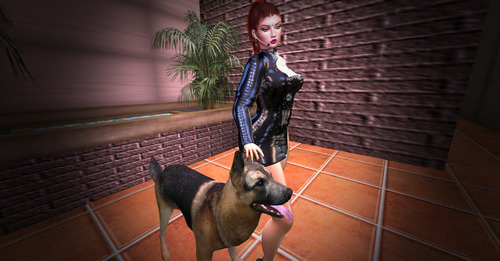 Web 657f66c91d75900ebd59d4bd