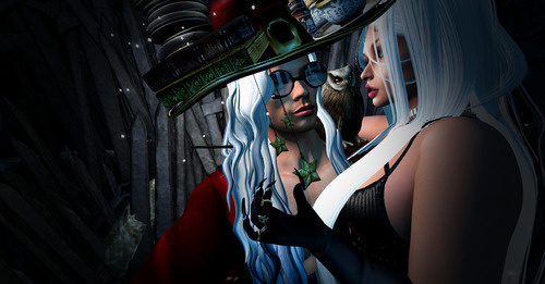 Web 67122037bfc4543a6bd0fec0