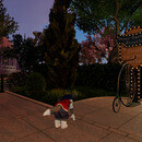 Thumb 650d518755239934eac8ada9