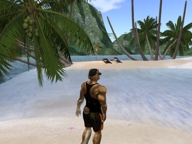 Original 6154b031fc69d656208a4028