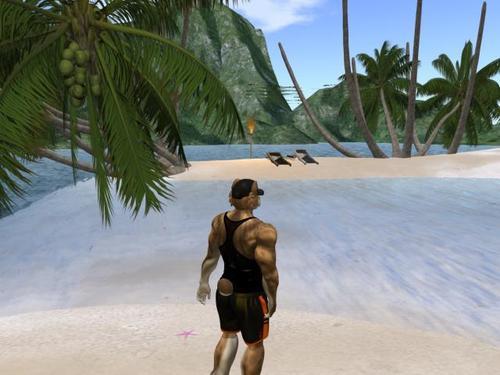 Web 6154b031fc69d656208a4028