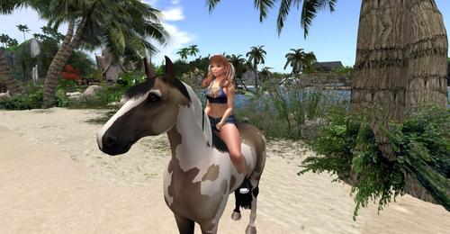 Web 5d911055d774f87452000001