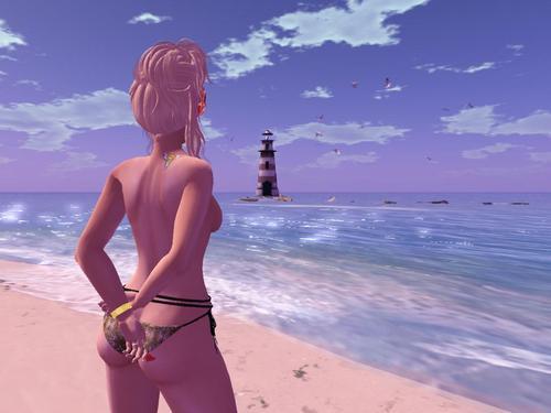 Web 6137684831b78c2174935b4a