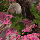 Thumb 64c04e660e70c9262b0eec71