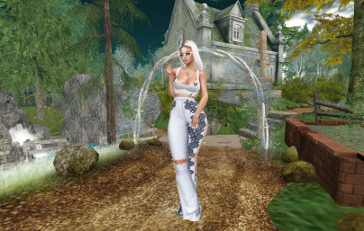 Web 666b38e620ed663698c9928f