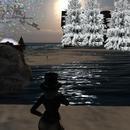 Thumb 63125075232df0109b590a37