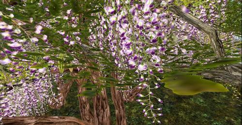 Web 607f0c43c6f20e3739f1383c