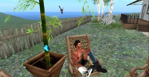 Web 5fb6c9748ff365020f397dbc