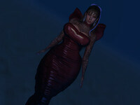 Small 677f2b9874b571185fc78be1