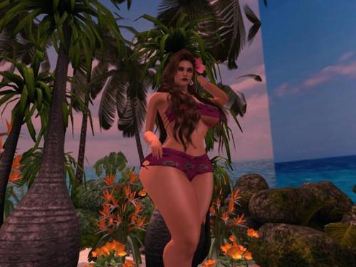 Web 6081bc81dd489c3f6250277e