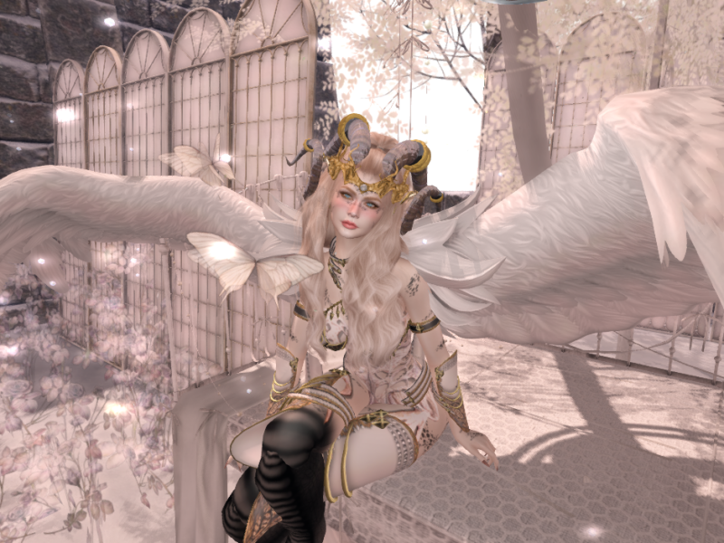 Original 61dfe2cae5e99f5761b5078b