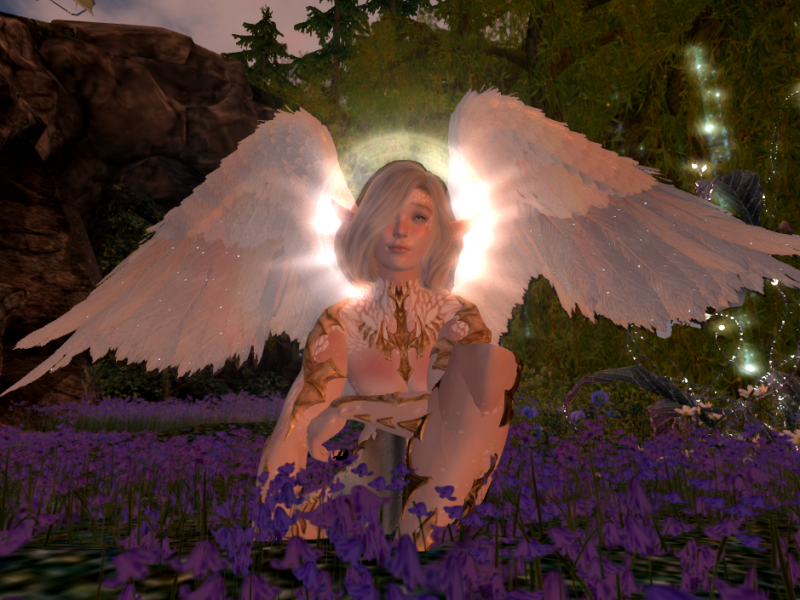 Original 6291150a0854a73847c1bd52