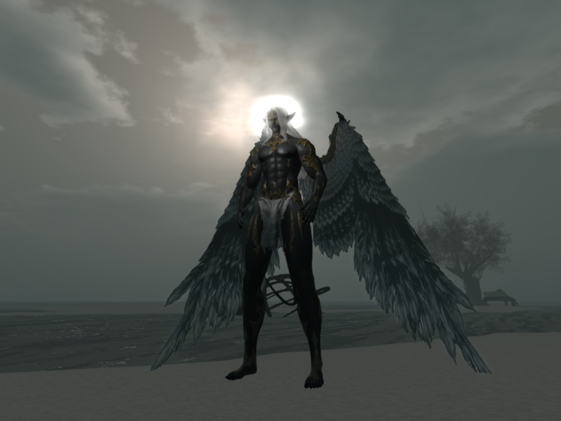 Original 62d3d1562195452b3fae147f