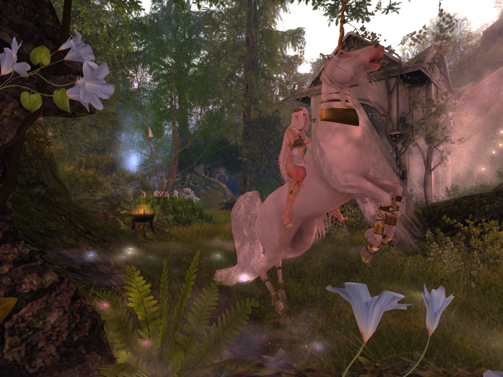 Original 64ab9321241f2d54a1e6b7c1