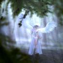 Thumb 613fd06f6c3f2f34f396b4b3